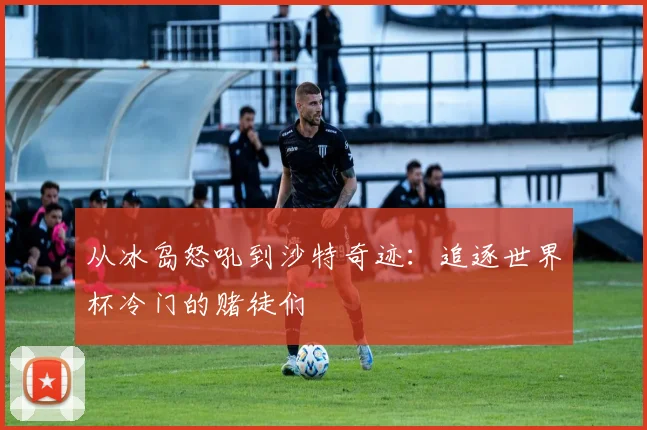从冰岛怒吼到沙特奇迹：追逐世界杯冷门的赌徒们