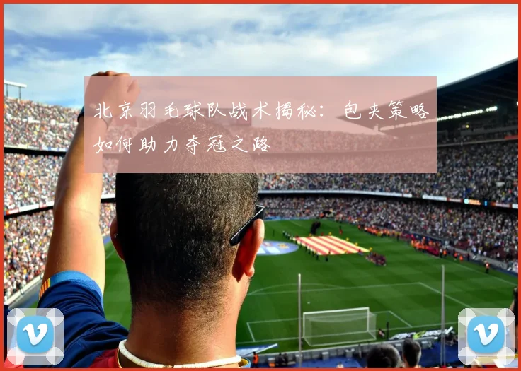 北京羽毛球队战术揭秘：包夹策略如何助力夺冠之路