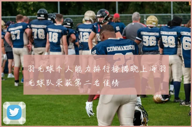 羽毛球个人能力排行榜揭晓上海羽毛球队荣获第二名佳绩