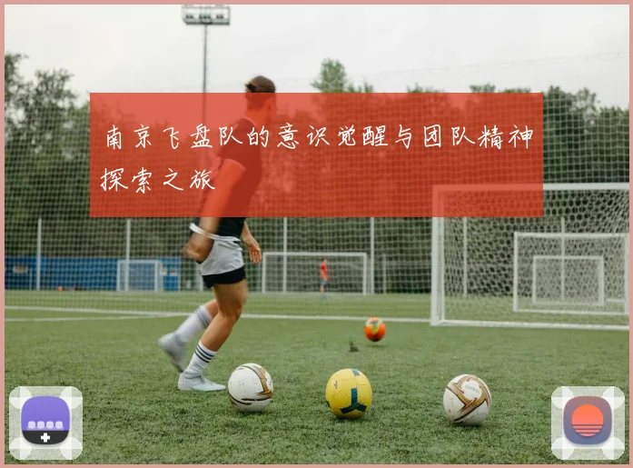 南京飞盘队的意识觉醒与团队精神探索之旅